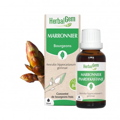 MARRONNIER BOURGEONS BIO 30 ML