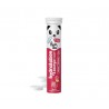 PANDA TEA HYDRATATION ET ENERGIE CITRON HIBISCUS 20 PAST EFF