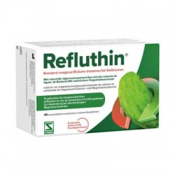 REFLUTHIN AROME FRUITE BRULURE D'ESTOMAC 48 COMP A MACHER