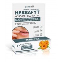 SORIA HERBAFYT GEL BUCCAL 5 GR