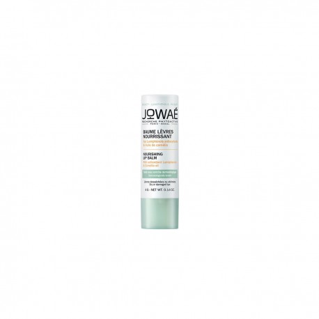 BAUME LEVRES NOURISSANT STICK 4G